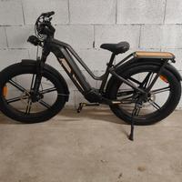 Bicicletta elettrica Fiido Titan Fat bike montagna