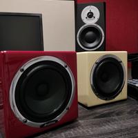 Coppia di casse/monitor professionali Avantone