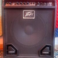 Peavey Max 115