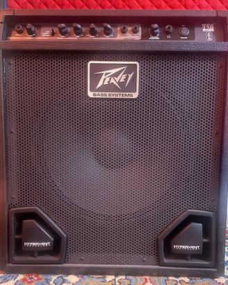 Peavey Max 115