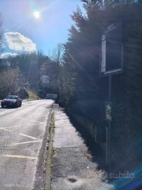 eseguo lavori di manutenzione giardino 