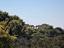 Immagine 21
