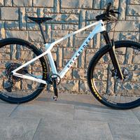 mtb rockrider 29 carbonio