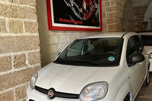 Fiat Panda 1.0 FireFly S&S Hybrid Easy