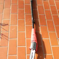 potatore svettatore rami