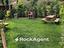 Immagine 26