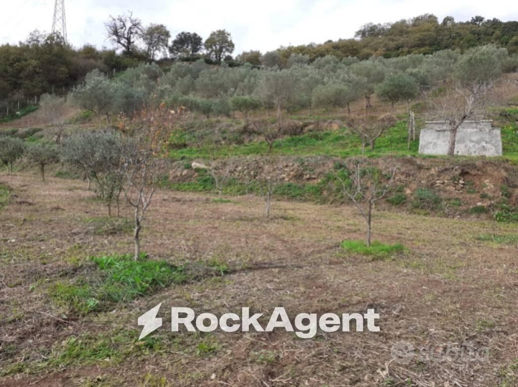 Terreno di 23500 m² a Marcellinara - Altro