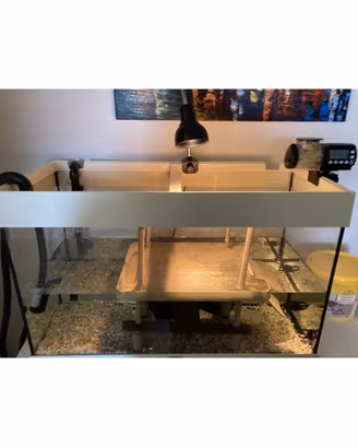 Acquario per tartarughe