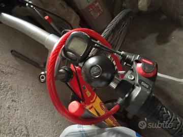 2 bici 