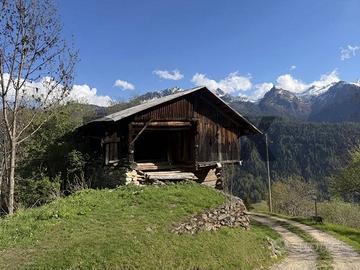 Casa Indipendente - Pellizzano