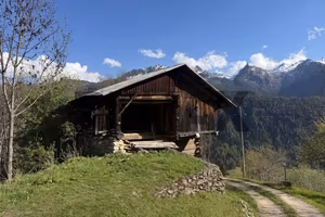 Casa Indipendente - Pellizzano