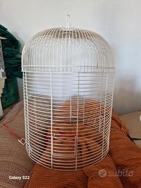Gabbia per uccelli cilindro