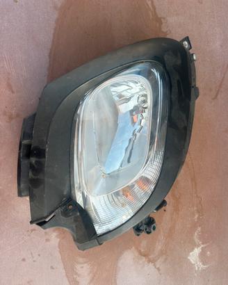 Faro new panda