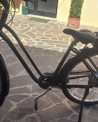 Bicicletta elettrica
