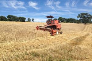 mietitrebbia autolivellante Laverda M92AL