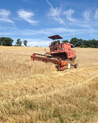 mietitrebbia autolivellante Laverda M92AL