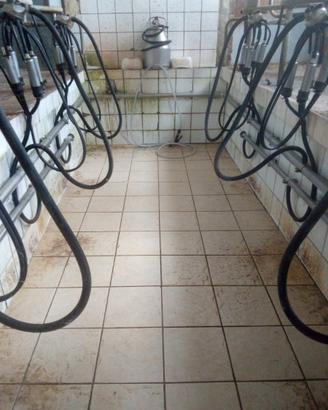 Impianto di mungitura