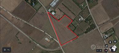 Terreni agricoli localita' sa serra