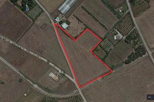 Terreni agricoli localita' sa serra