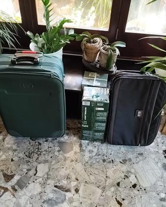 Valigia e borsa Ghepard