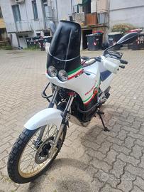 transalp 600