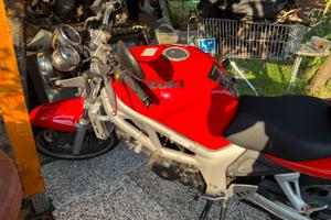 Suzuki SV 650 1999 Naked