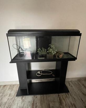 Acquario