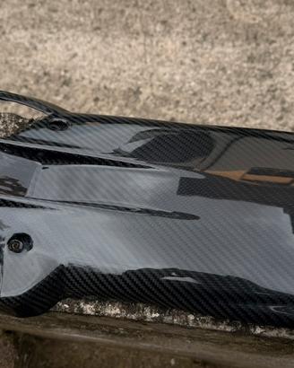 Parafanghi in carbonio