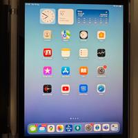 Ipad mini 5 wifi + apple pencil