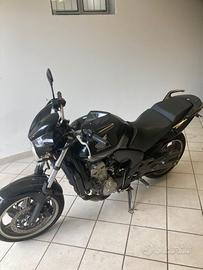 HONDA CBF 600