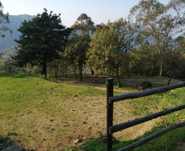 Terreno agricolo, Rodì Milici