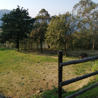Terreno agricolo, Rodì Milici