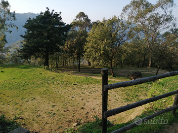 Terreno agricolo, Rodì Milici