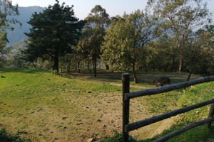 Terreno agricolo, Rodì Milici