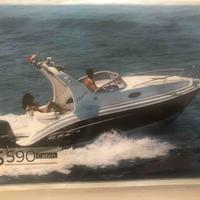 Barca a motore