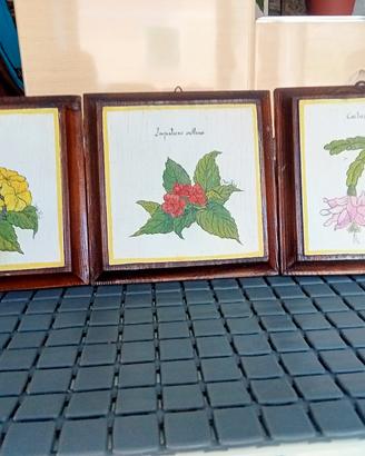quadretti botanici  dipinti a mano su legno