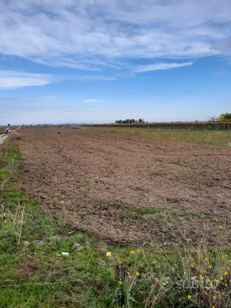 Terreno tra Barletta e Margherita su strada princ - Vista 2