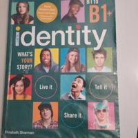 Libro Identity B1 to B1+ Inglese Istituti tecnici