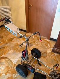 Carrello da golf elettrico