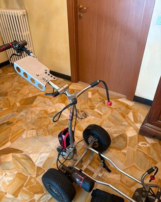 Carrello da golf elettrico