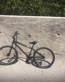 bicicletta willy bike
