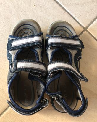 Scarpe Geox bimbo