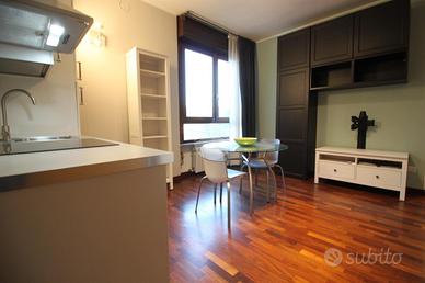 MONOLOCALE A PESCHIERA BORROMEO