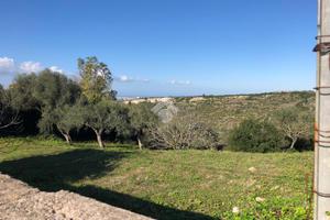 TER. RESIDENZIALE A OSSI