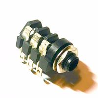 Jack femmina nakamichi