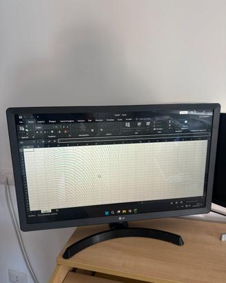 Lg 28 pollici tv/monitor
