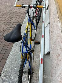 Bicicletta da uomo