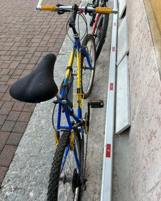 Bicicletta da uomo