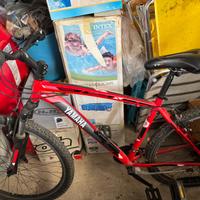 Bicicletta MTB moonster velomarche 27,5’