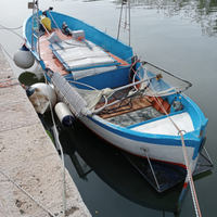 Barca da pesca professionale